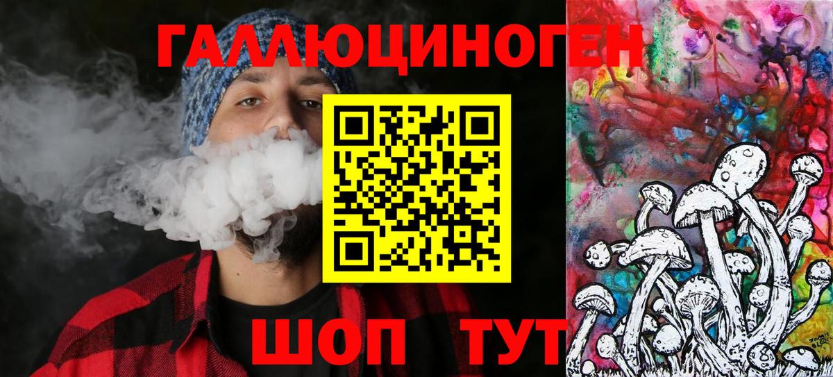 A-PVP Балтийск