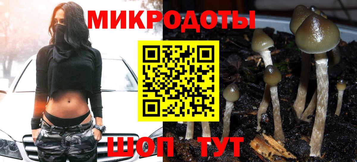 Галлюциногенные грибы Psilocybine cubensis  Псилоцибиновые грибы Magic Shrooms  Балтийск  Вход с VPN 